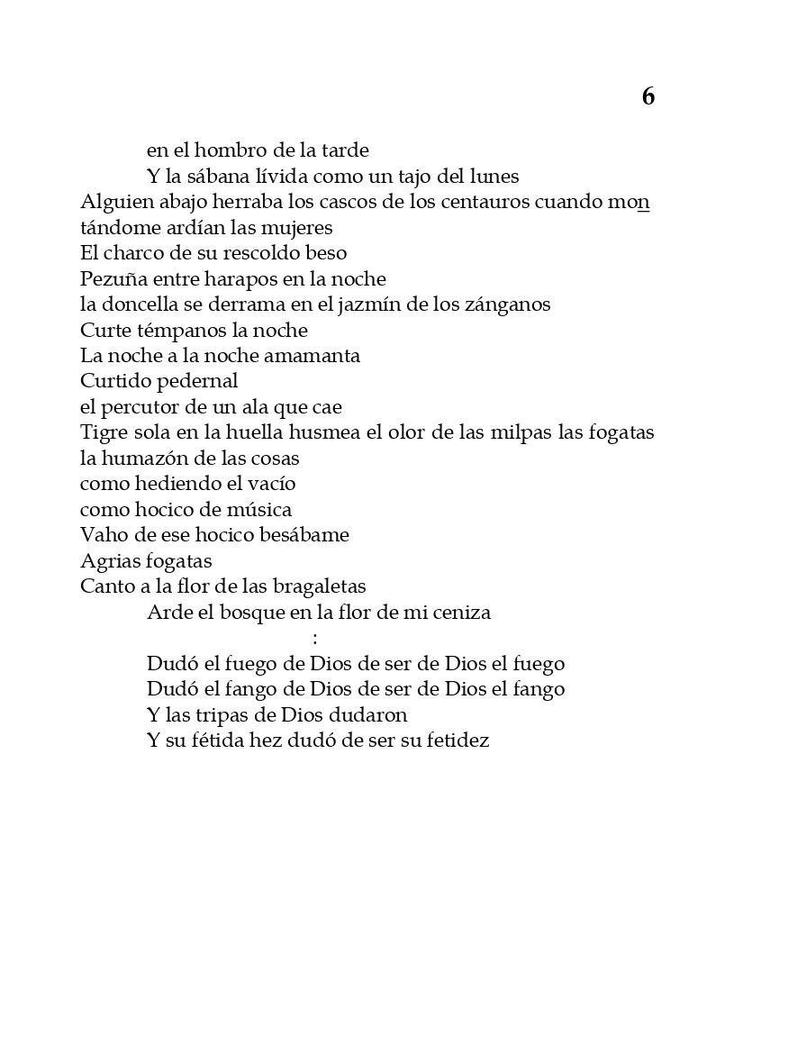 rey_de_bastos_page-0011
