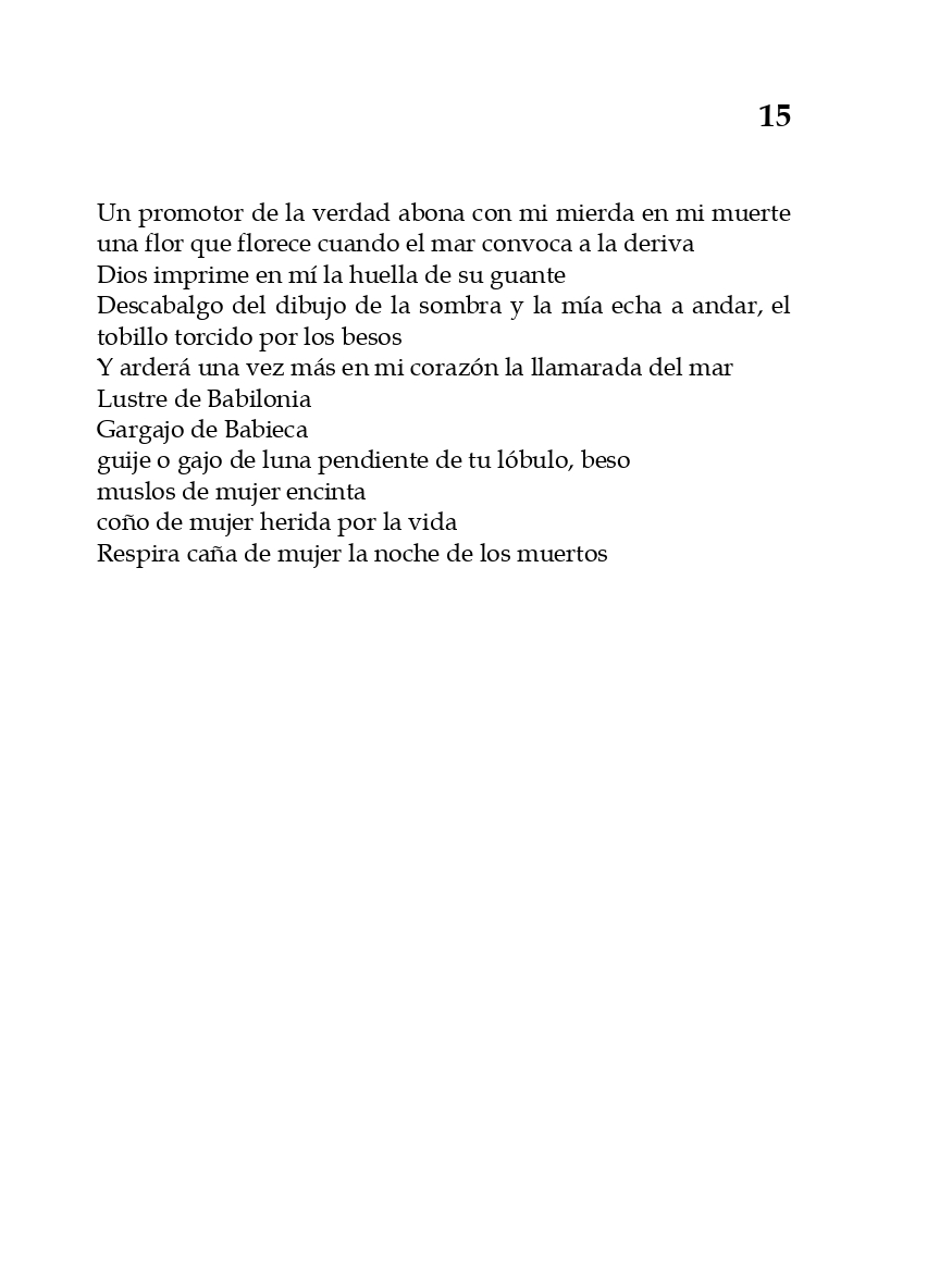 rey_de_bastos_page-0020