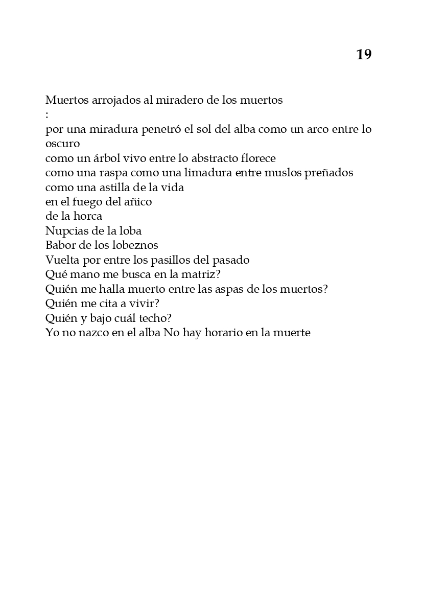 rey_de_bastos_page-0024