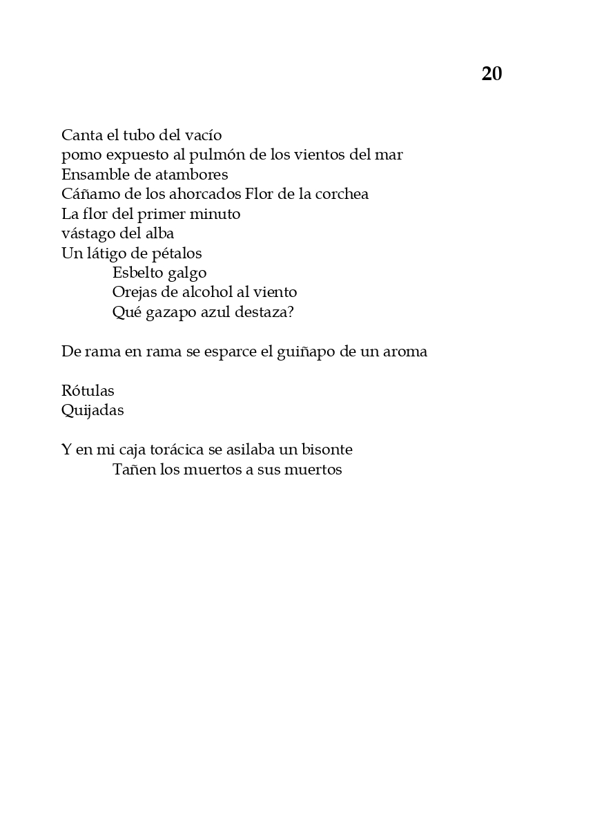 rey_de_bastos_page-0025