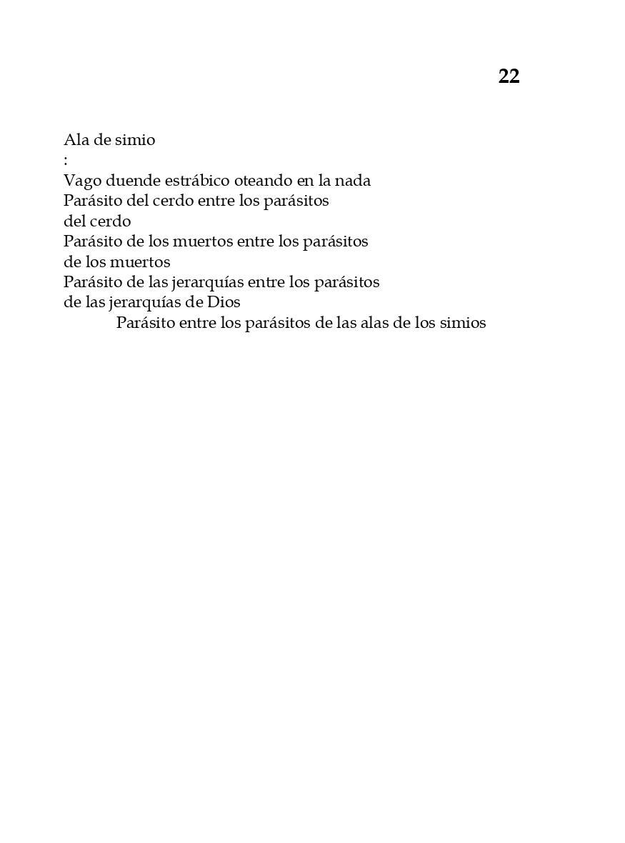 rey_de_bastos_page-0027