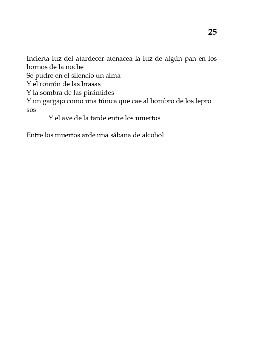 rey_de_bastos_page-0030