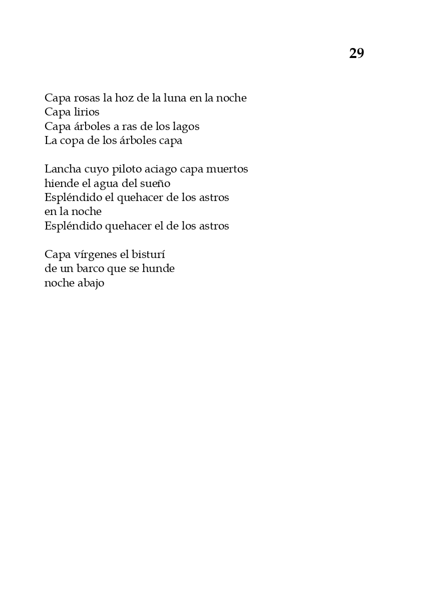 rey_de_bastos_page-0034